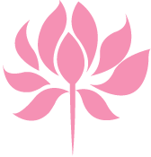 a beautiful pink lotus flower